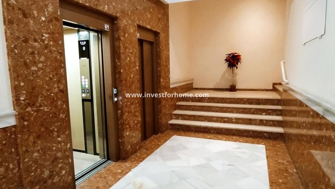 Reventa - Apartamento - Torrevieja - Centro