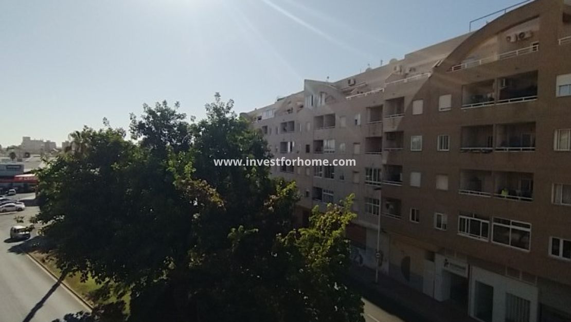 Reventa - Apartamento - Torrevieja - Centro