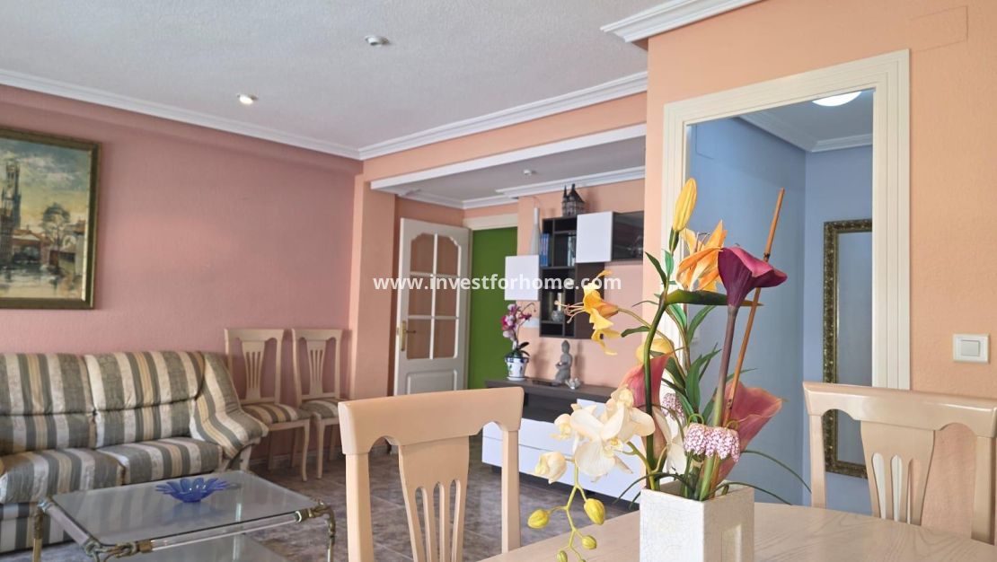 Reventa - Apartamento - Torrevieja - Centro