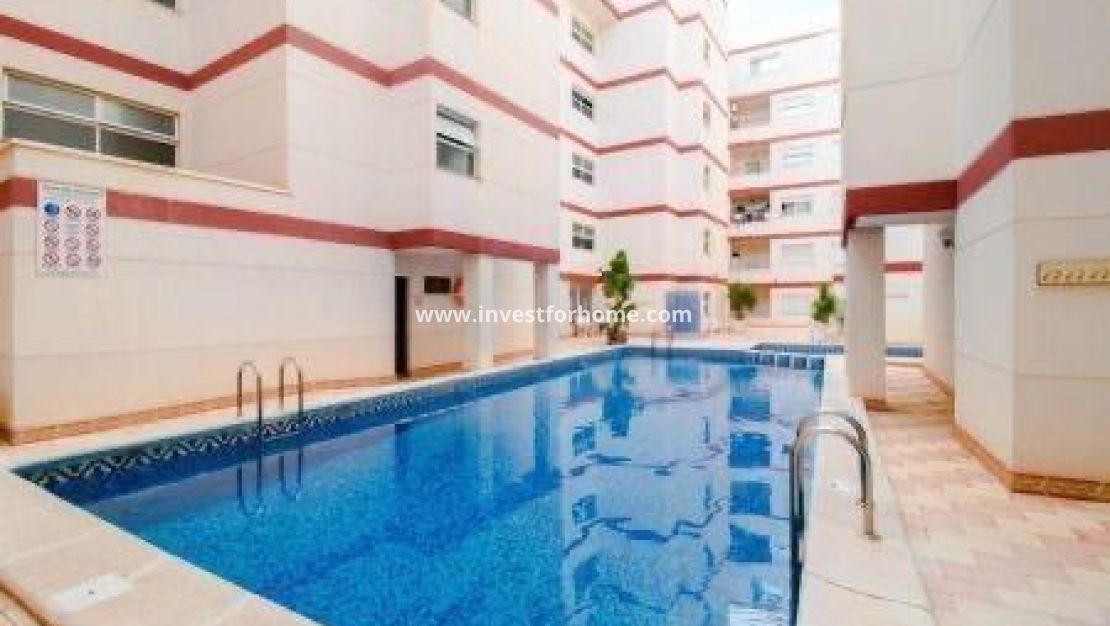 Reventa - Apartamento - Torrevieja - Centro