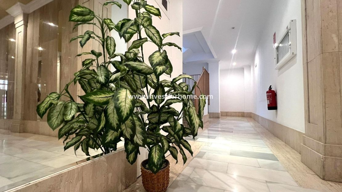 Reventa - Apartamento - Torrevieja - Centro