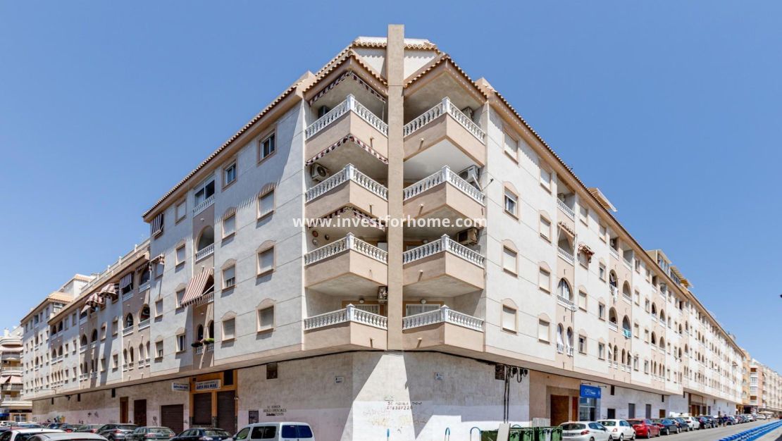 Reventa - Apartamento - Torrevieja - Centro