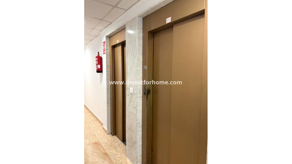 Reventa - Apartamento - Torrevieja - Centro