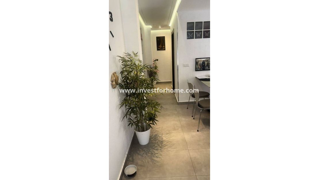 Reventa - Apartamento - Torrevieja - Centro