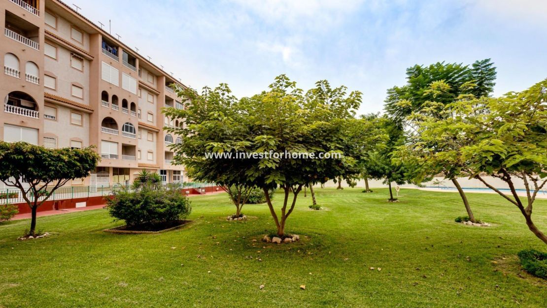 Reventa - Apartamento - Torrevieja - Centro