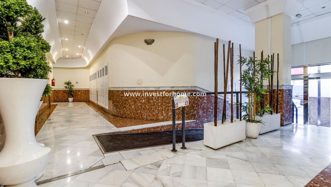 Reventa - Apartamento - Torrevieja - Centro