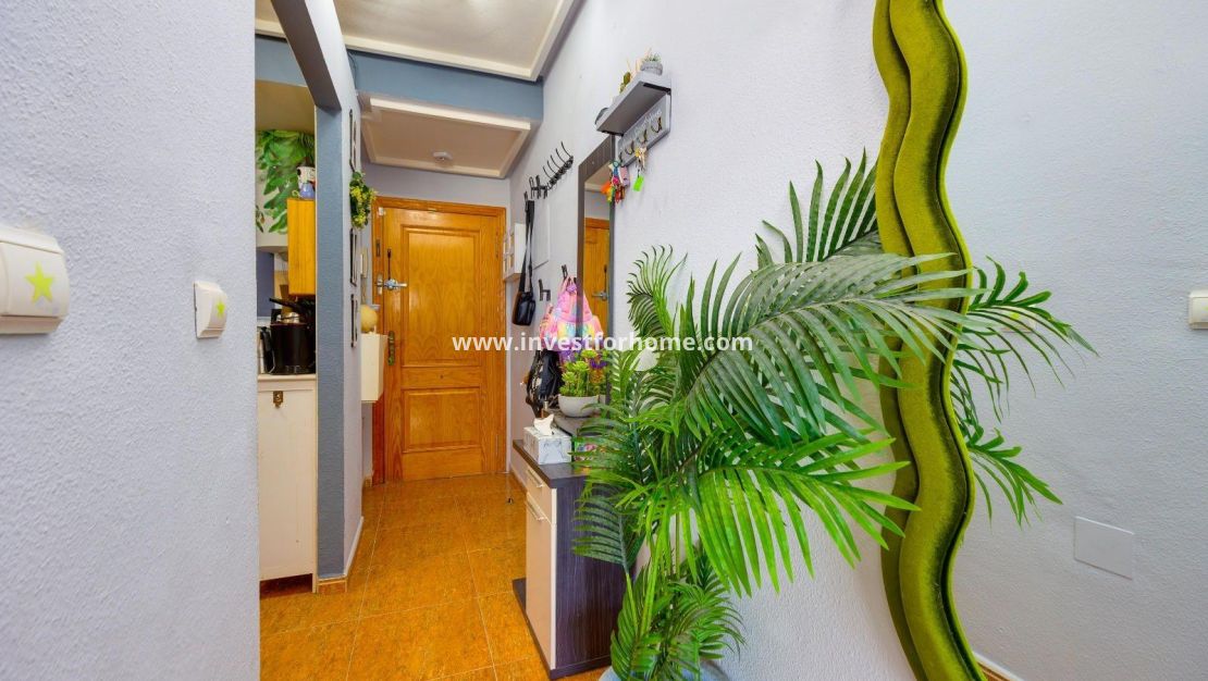 Reventa - Apartamento - Torrevieja - Centro