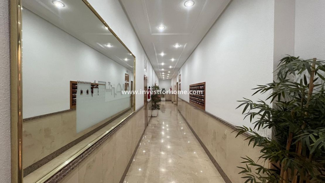 Reventa - Apartamento - Torrevieja - Centro