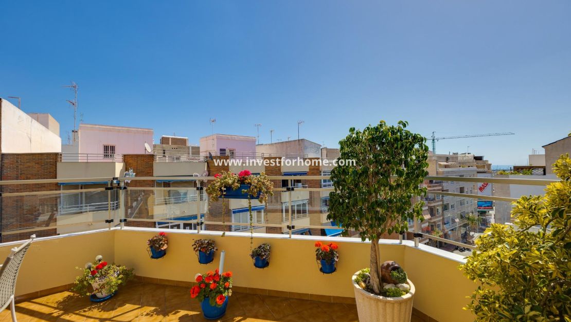 Reventa - Apartamento - Torrevieja - Centro