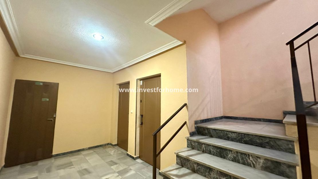 Reventa - Apartamento - Torrevieja - Centro