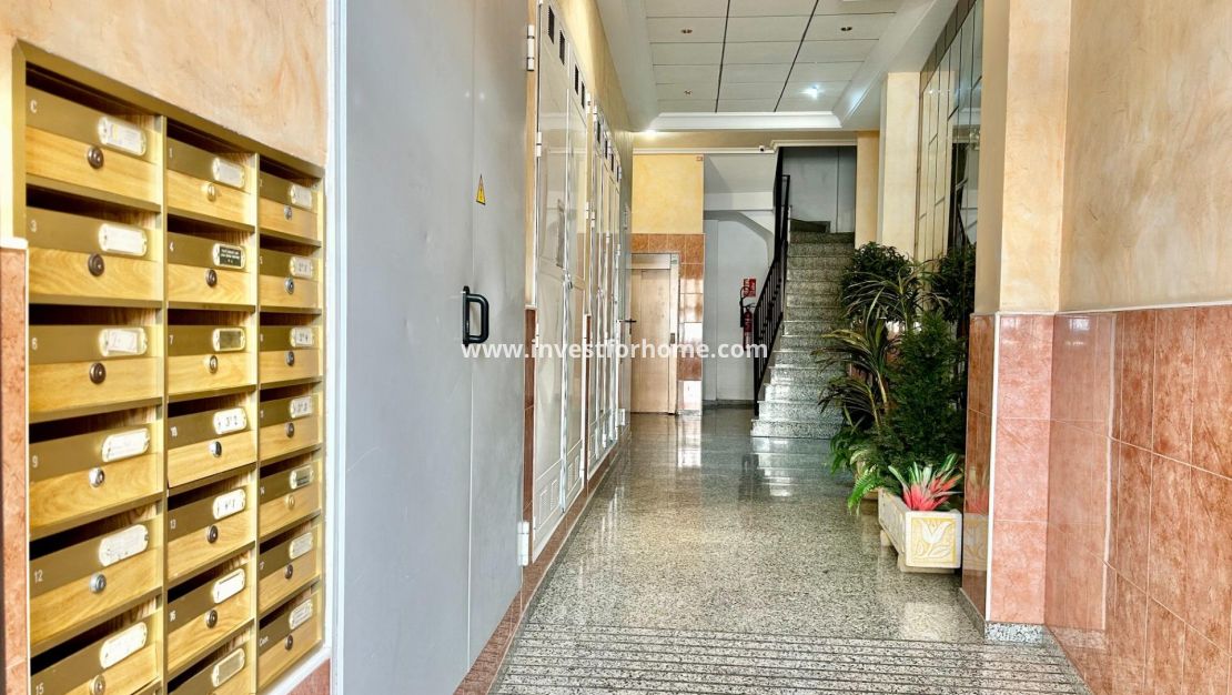 Reventa - Apartamento - Torrevieja - Centro