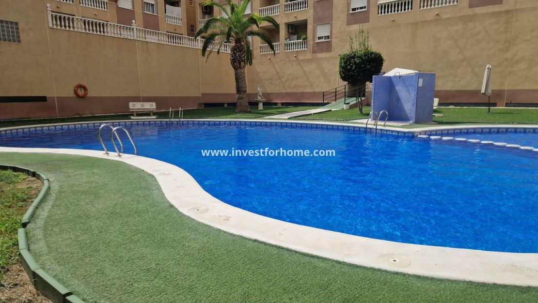 Reventa - Apartamento - Torrevieja - Centro