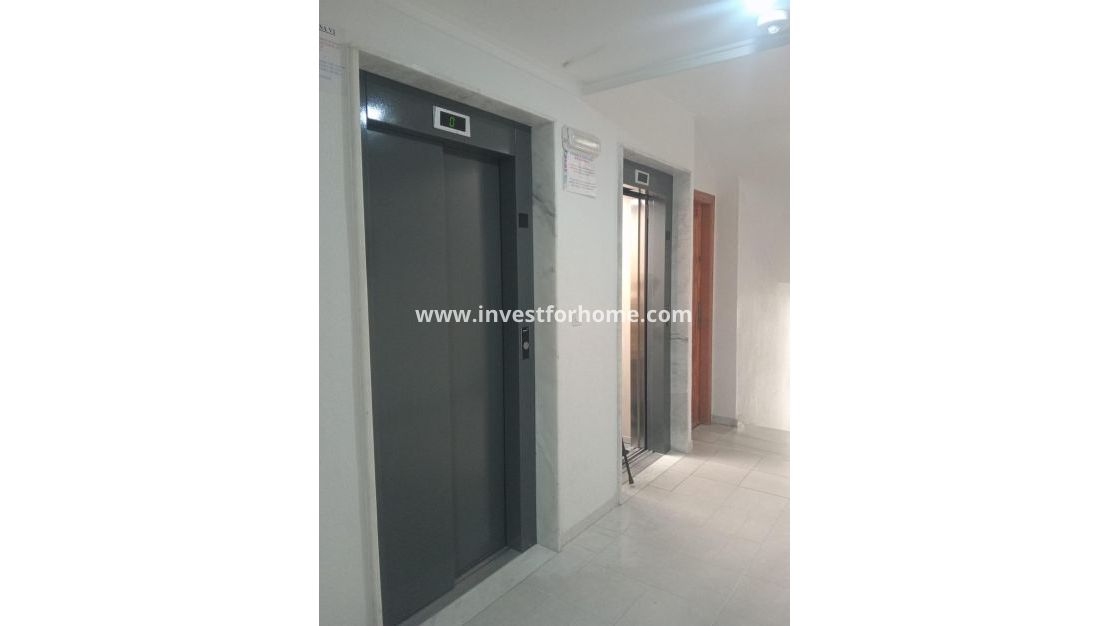 Reventa - Apartamento - Torrevieja - Centro
