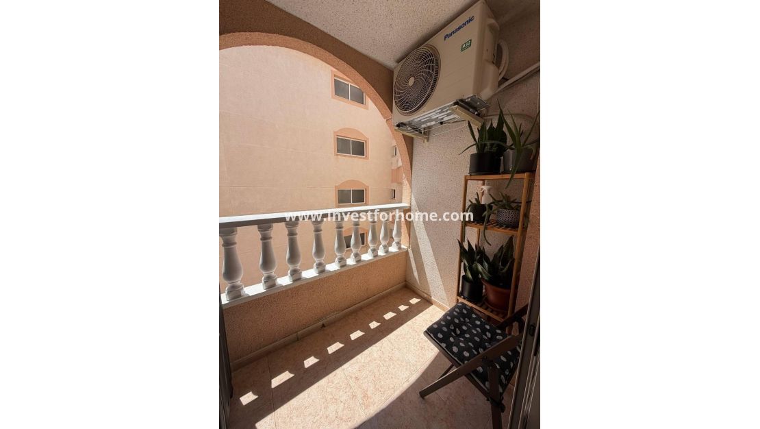 Reventa - Apartamento - Torrevieja - Centro