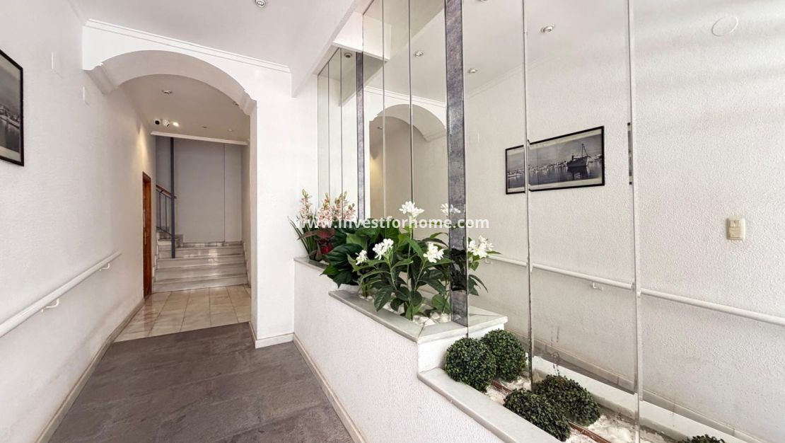 Reventa - Apartamento - Torrevieja - Centro