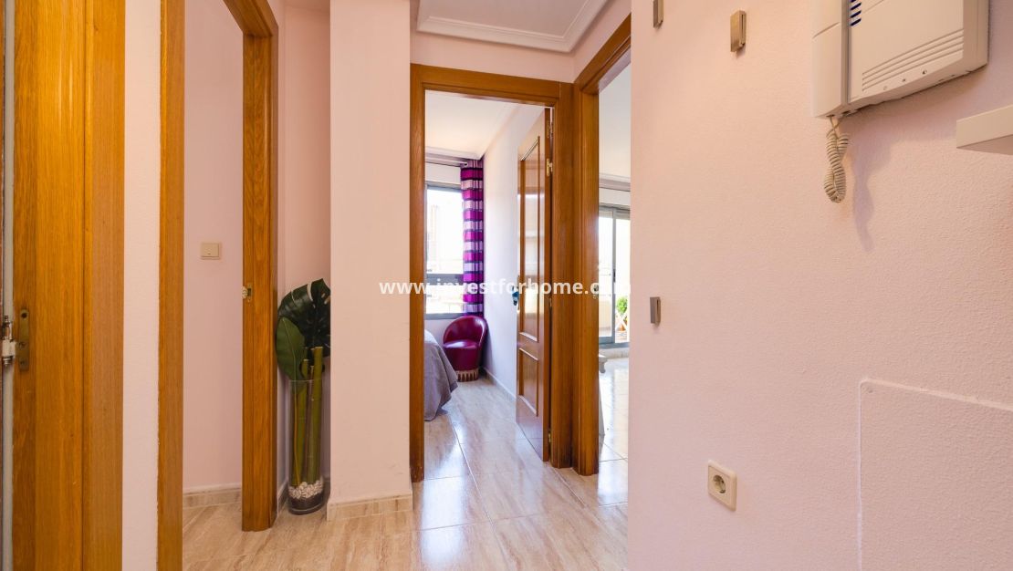 Reventa - Apartamento - Torrevieja - Centro