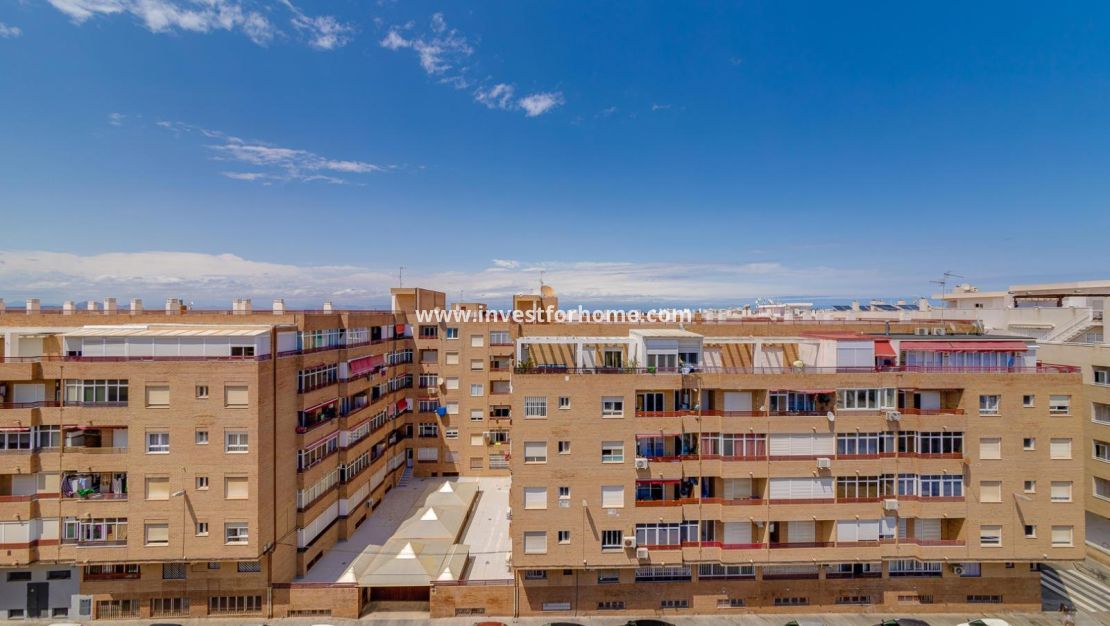 Reventa - Apartamento - Torrevieja - Centro