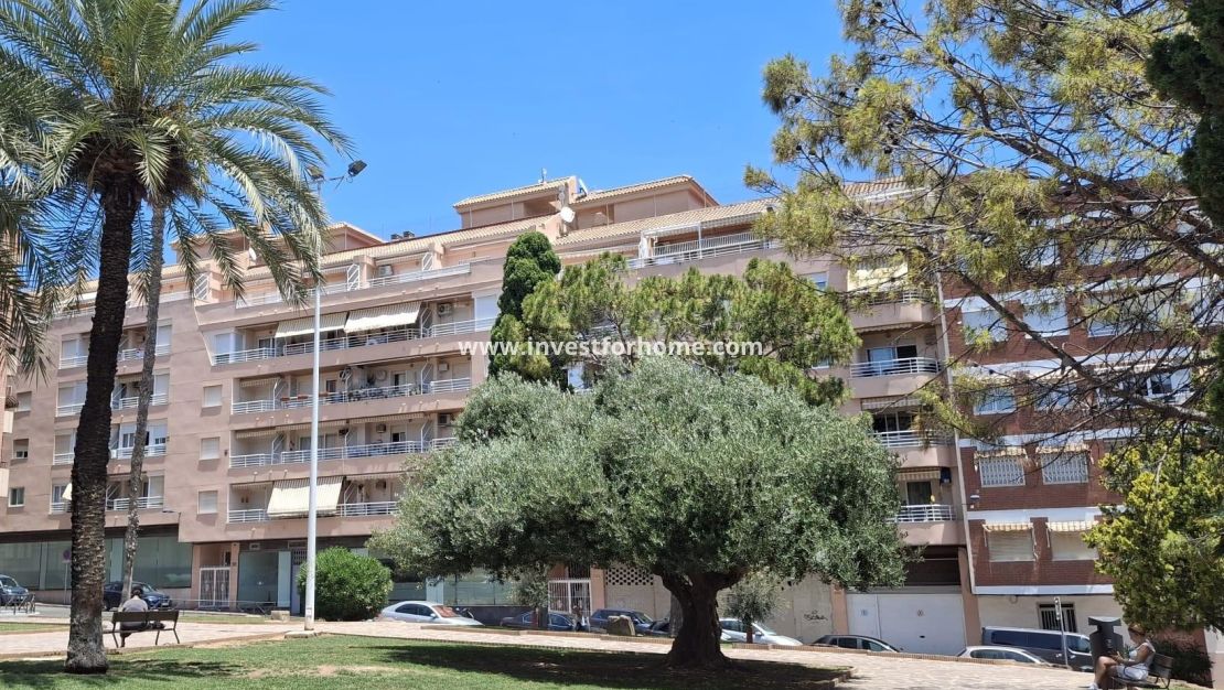 Reventa - Apartamento - Torrevieja - Centro