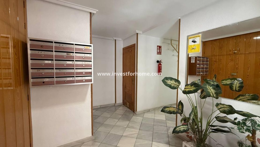 Reventa - Apartamento - Torrevieja - Centro