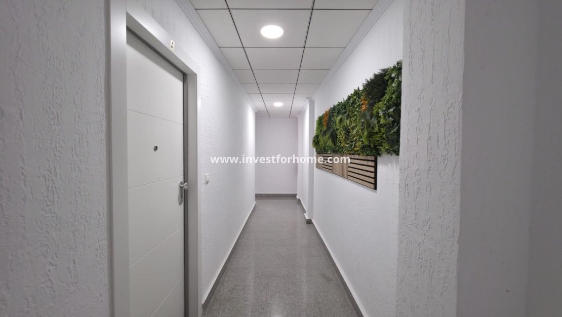 Reventa - Apartamento - Torrevieja - Centro