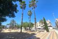 Reventa - Apartamento - Torrevieja - Centro