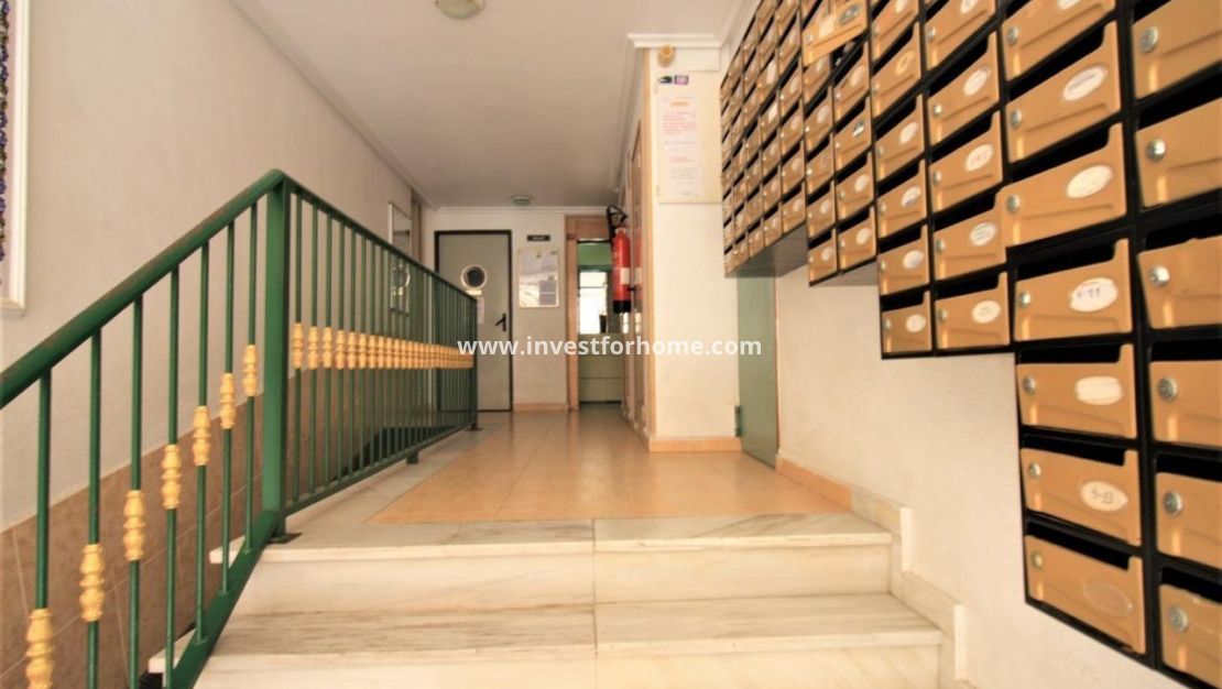 Reventa - Apartamento - Torrevieja - Centro