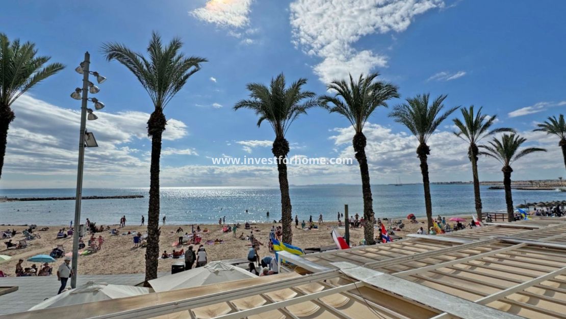 Reventa - Apartamento - Torrevieja - Costa Blanca