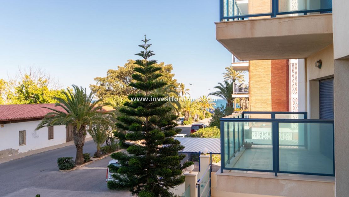 Reventa - Apartamento - Torrevieja - Costa Blanca