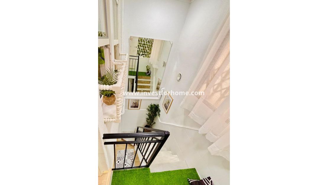 Reventa - Apartamento - Torrevieja - Costa Blanca