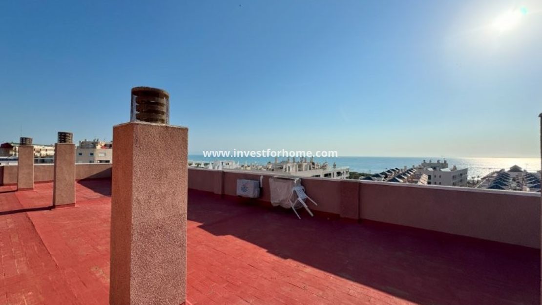 Reventa - Apartamento - Torrevieja - Costa Blanca
