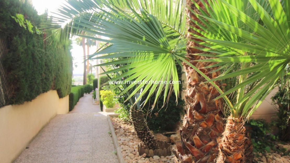 Reventa - Apartamento - Torrevieja - Costa Blanca