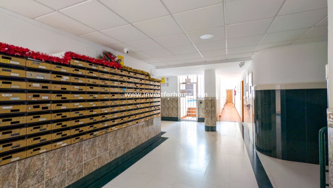 Reventa - Apartamento - Torrevieja - Costa Blanca