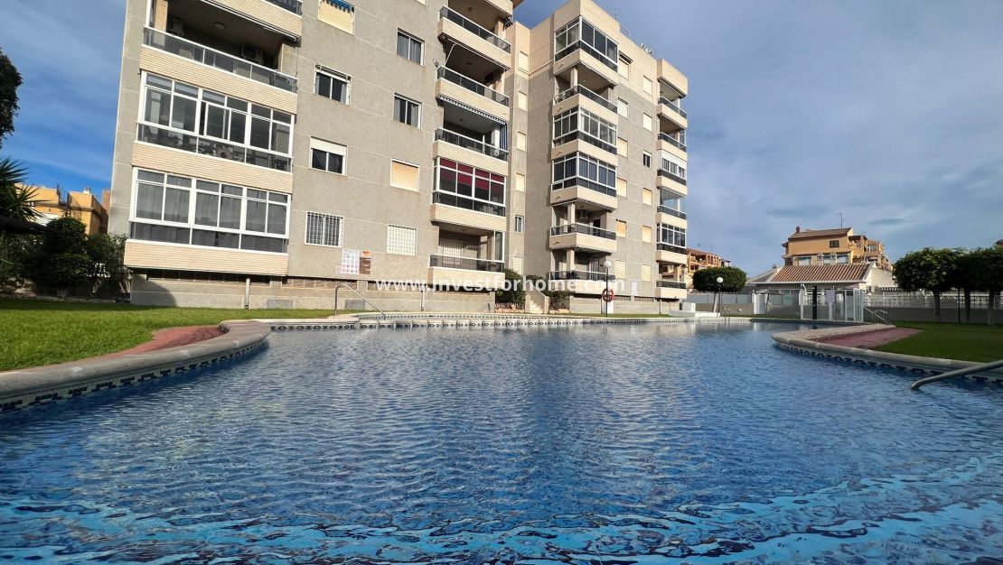 Reventa - Apartamento - Torrevieja - Costa Blanca
