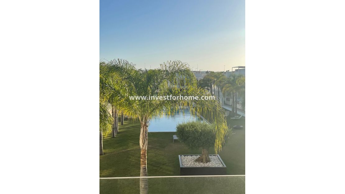 Reventa - Apartamento - Torrevieja - Costa Blanca