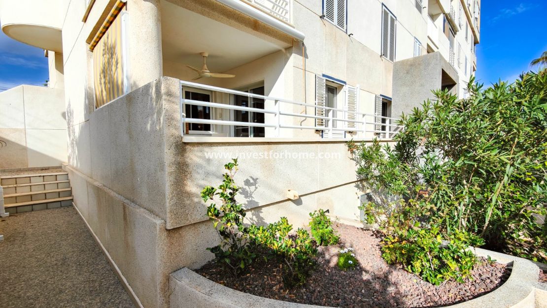 Reventa - Apartamento - Torrevieja - Costa Blanca