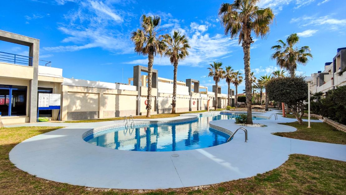 Reventa - Apartamento - Torrevieja - Costa Blanca