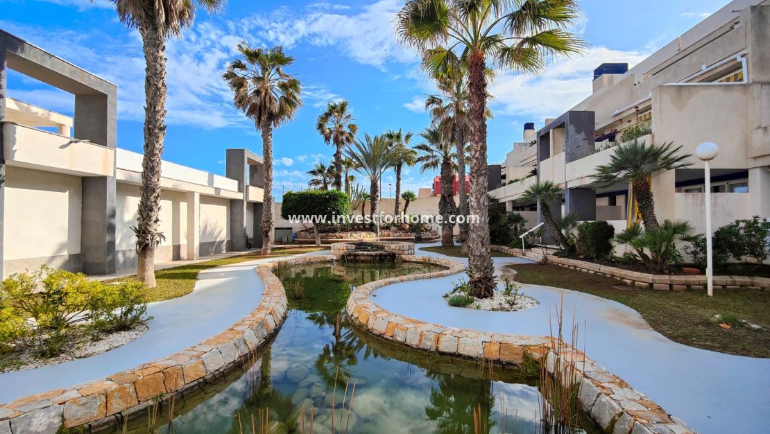 Reventa - Apartamento - Torrevieja - Costa Blanca