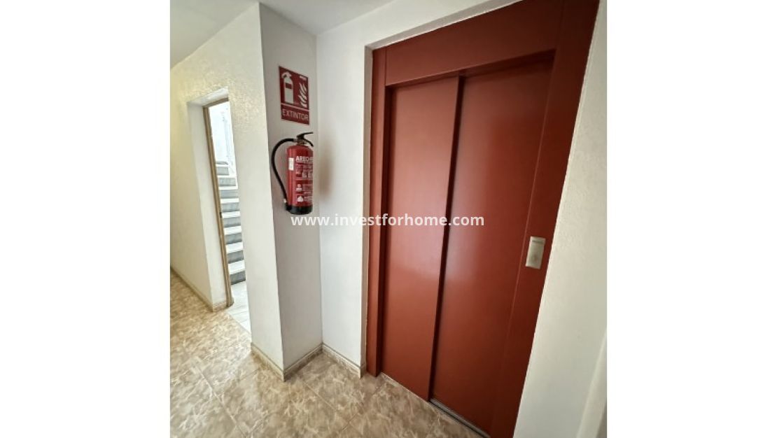 Reventa - Apartamento - Torrevieja - Costa Blanca