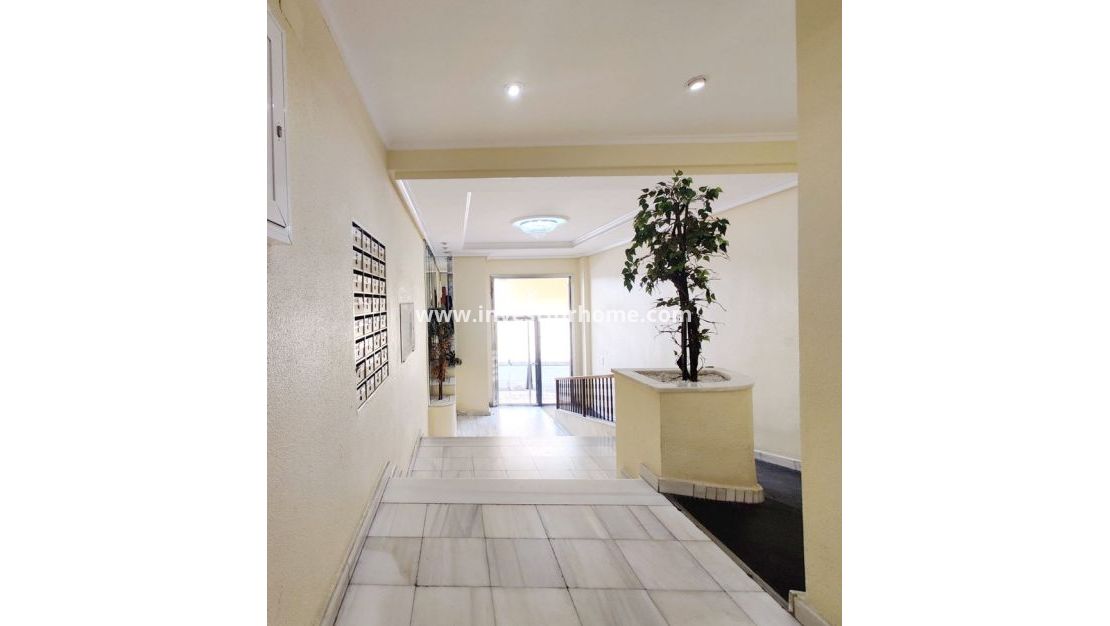 Reventa - Apartamento - Torrevieja - Costa Blanca