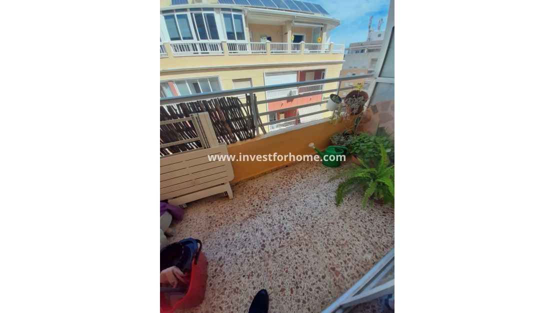 Reventa - Apartamento - Torrevieja - Costa Blanca