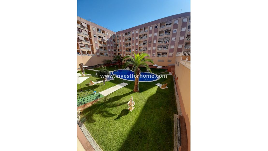 Reventa - Apartamento - Torrevieja - Costa Blanca