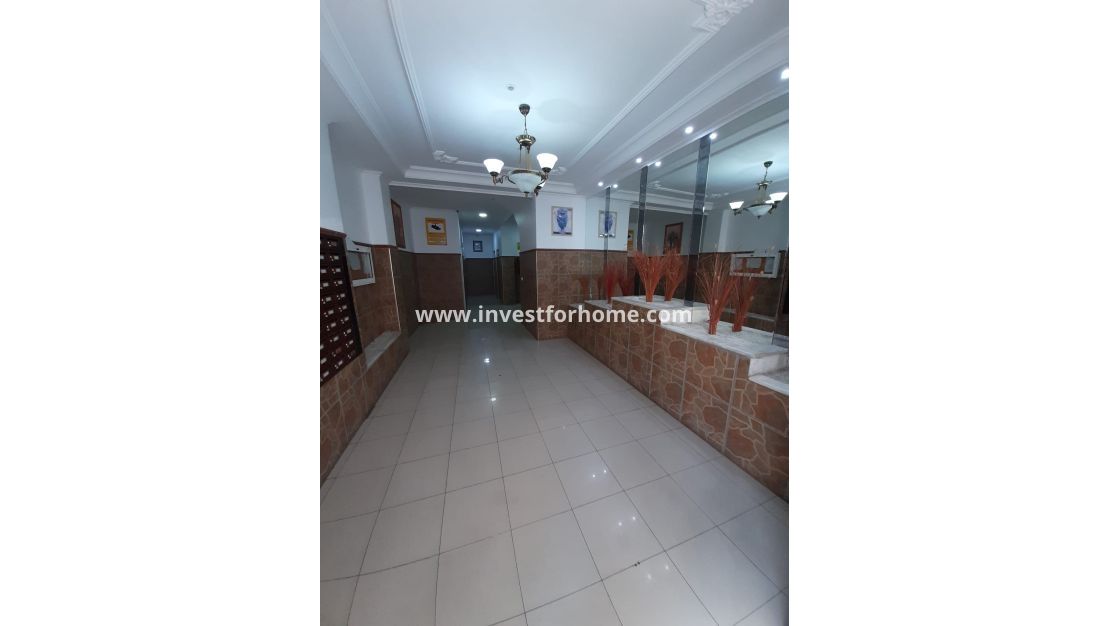 Reventa - Apartamento - Torrevieja - Costa Blanca