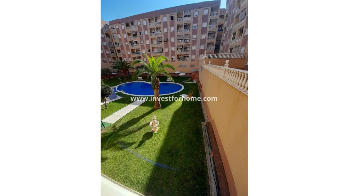 Reventa - Apartamento - Torrevieja - Costa Blanca