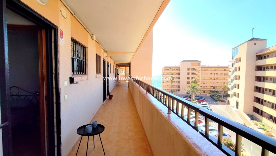 Reventa - Apartamento - Torrevieja - Costa Blanca