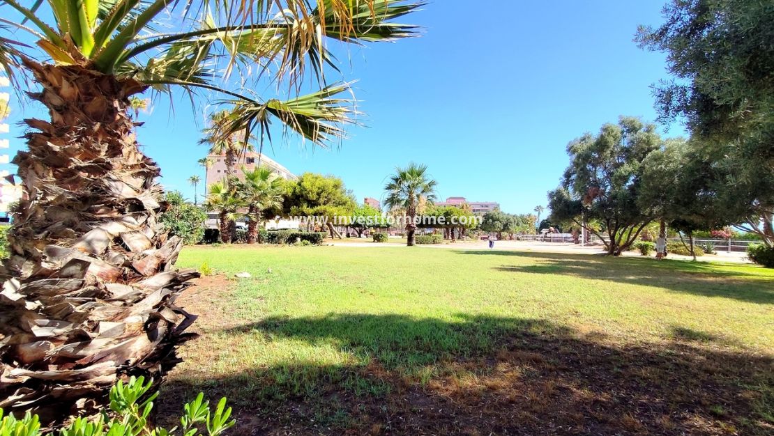 Reventa - Apartamento - Torrevieja - Costa Blanca
