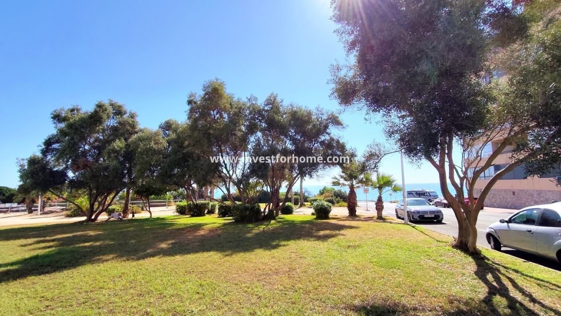 Reventa - Apartamento - Torrevieja - Costa Blanca