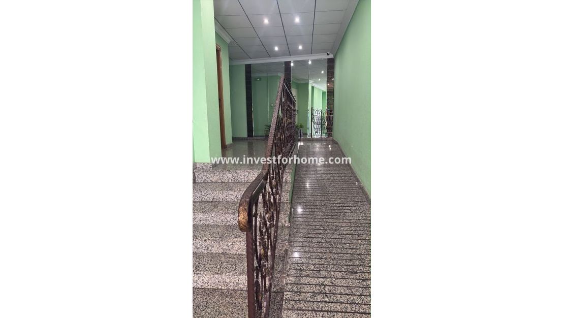 Reventa - Apartamento - Torrevieja - Costa Blanca