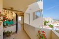 Reventa - Apartamento - Torrevieja - Costa Blanca