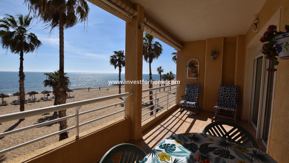 Reventa - Apartamento - Torrevieja - Costa Blanca