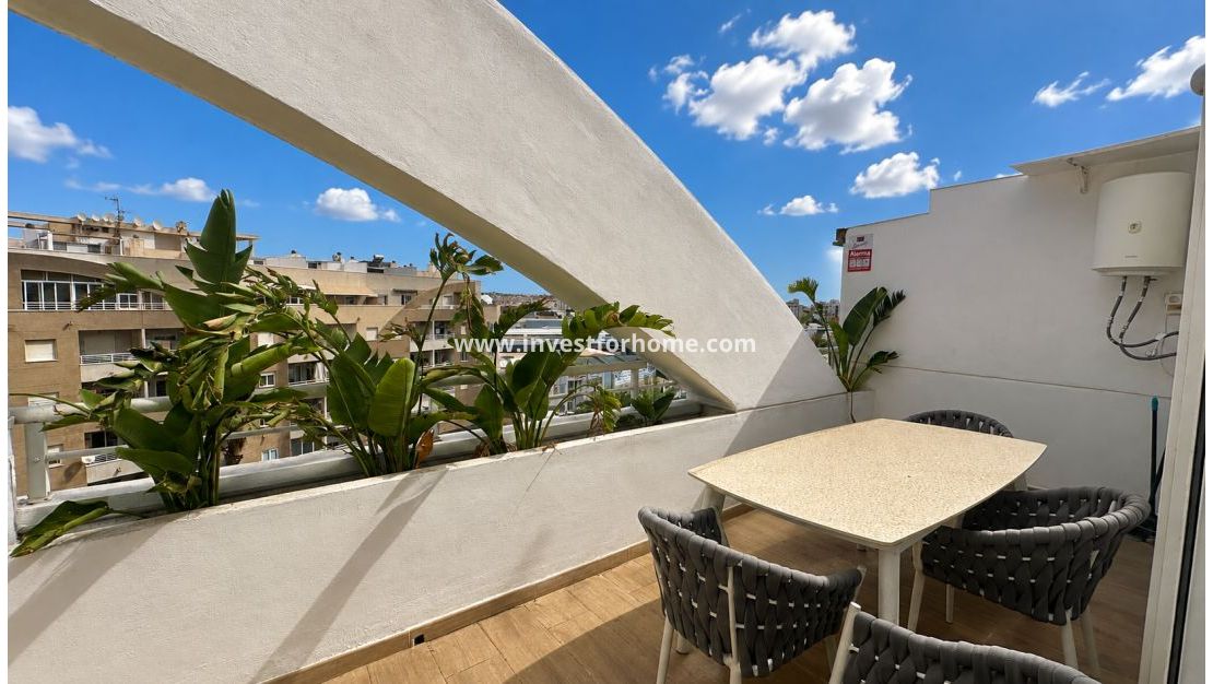 Reventa - Apartamento - Torrevieja - Costa Blanca